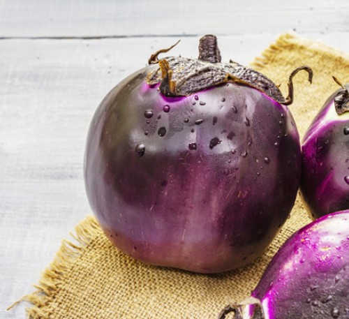 Eggplant Aubergina Helios